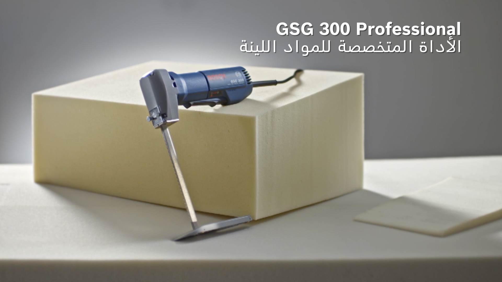 GSG 300