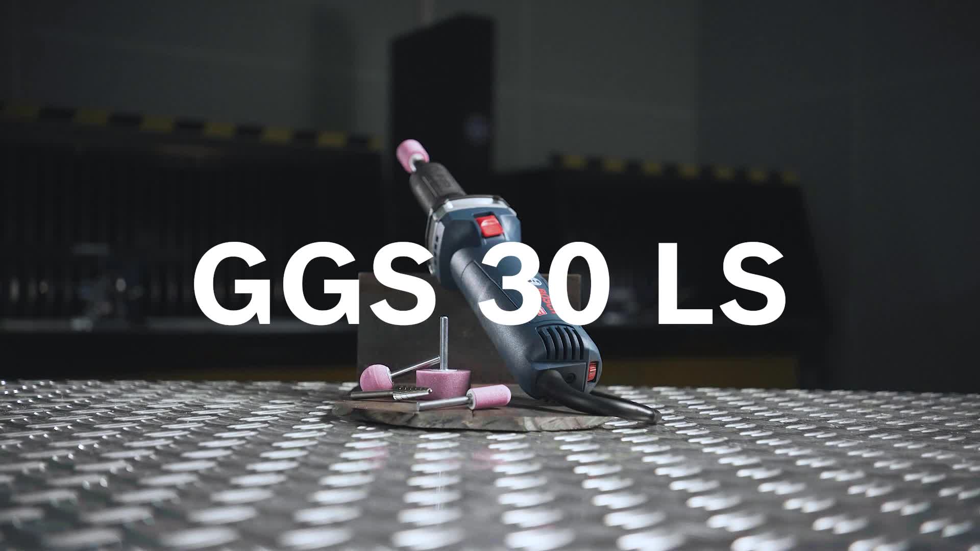 GGS 30 LS
