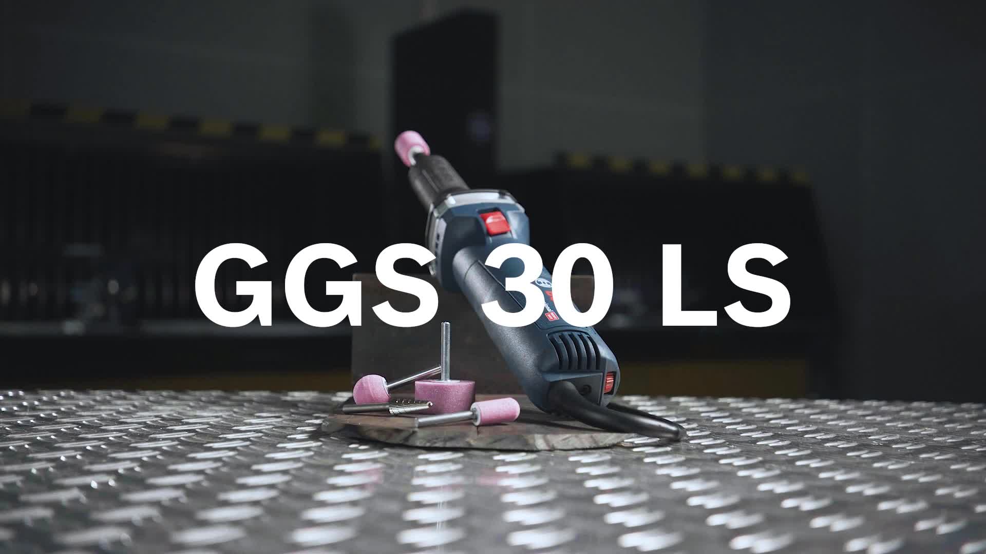 GGS 30 LS