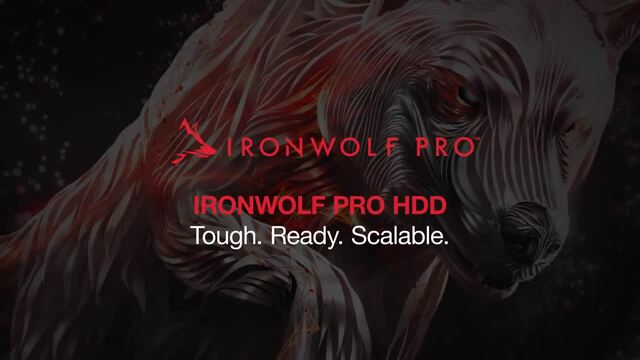 Seagate IronWolf Pro NAS 8 TB CMR, Festplatte SATA 6 Gb/s, 3,5"
