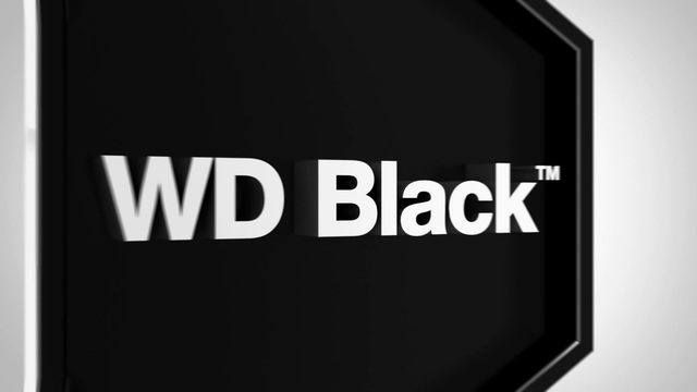 WD WD2003FZEX 2 TB, Festplatte SATA 6 Gb/s, 3,5", WD Black
