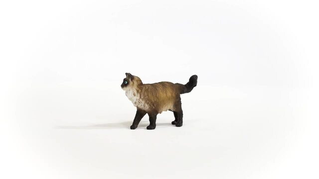 Schleich Farm World - Ragdoll kat speelfiguur 