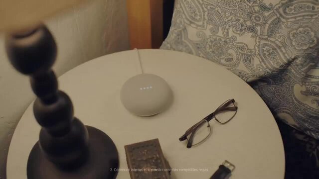 Google Nest Mini, Haut-parleur Carbone, Wifi, Bluetooth