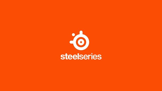 SteelSeries Rival 3, Gaming-Maus schwarz