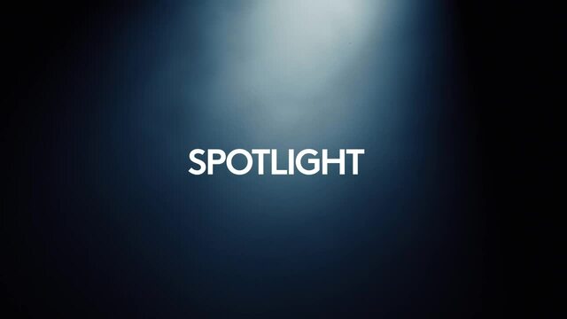 Logitech Spotlight, Presenter schiefer