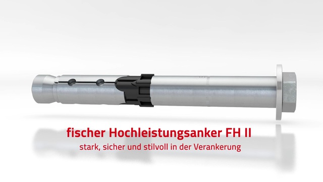 fischer Hochleistungsanker FH II 12/10 S, Dübel silber, 2 Stück, galvanisch verzinkt