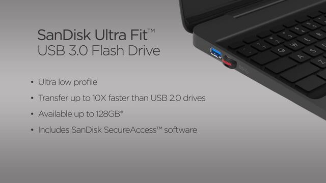 SanDisk Ultra Fit 128 Go, Clé USB Noir, SDCZ430-128G-G46