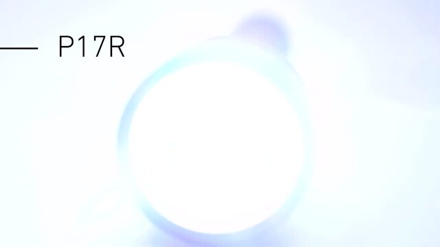 Ledlenser P7R Lampe torche LED, Lampe de poche 9408-R