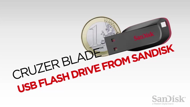 SanDisk Cruzer Blade 64 GB usb-stick Zwart