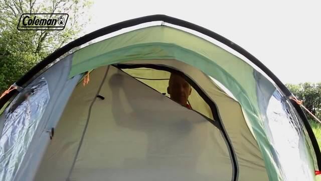 Coleman Darwin 3 Plus tent Donkergroen