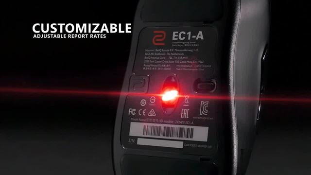 Zowie EC2-C, Gaming-Maus schwarz, Größe M